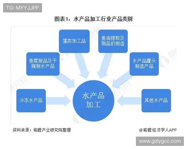 网球运动发展历程与未来趋势分析：从基础训练到职业赛事的全方位探索